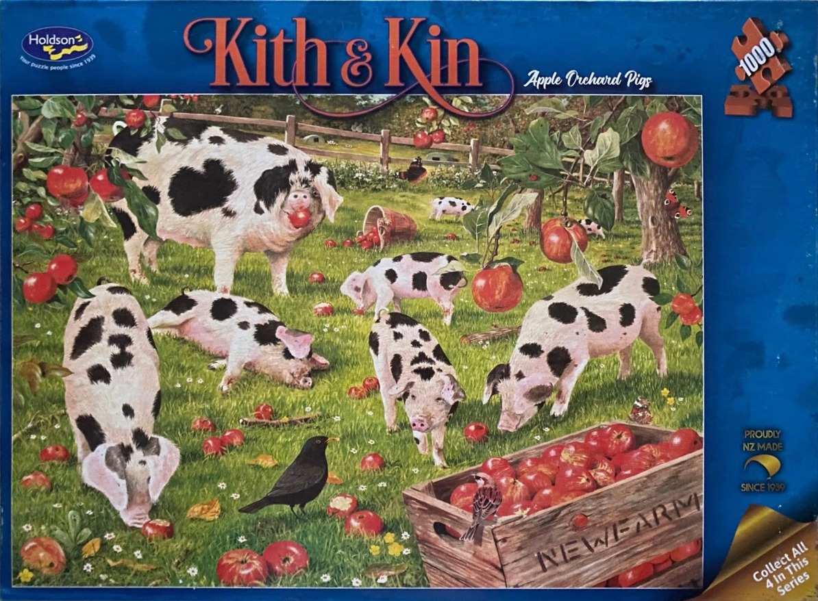A group of spotted pigs grazing in an apple orchard with a crate of red apples.