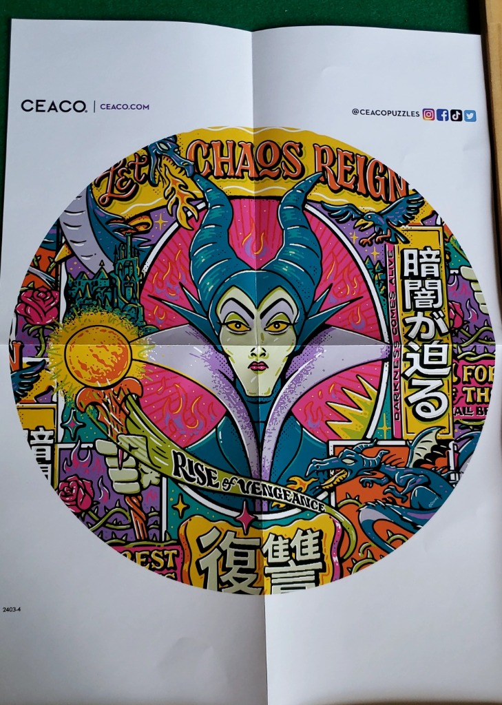 A circular, vibrant comic-style illustration of the character Maleficent, surrounded by flames, thorns, and text.