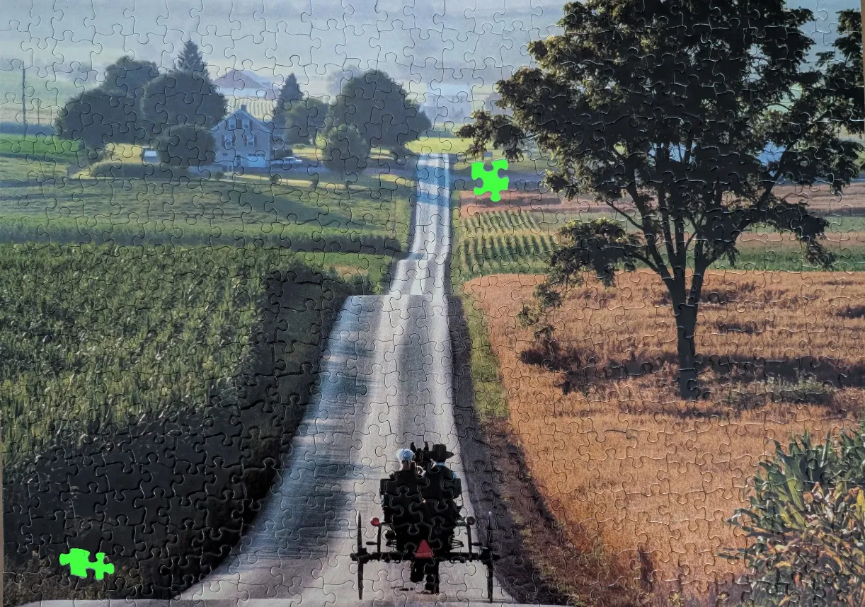 A horse-drawn buggy travels down a sunlit rural road between farm fields.