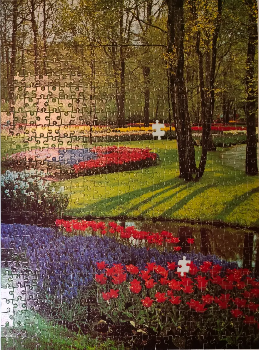 A lush spring garden with vibrant tulips, purple hyacinths, and long tree shadows on a lawn.