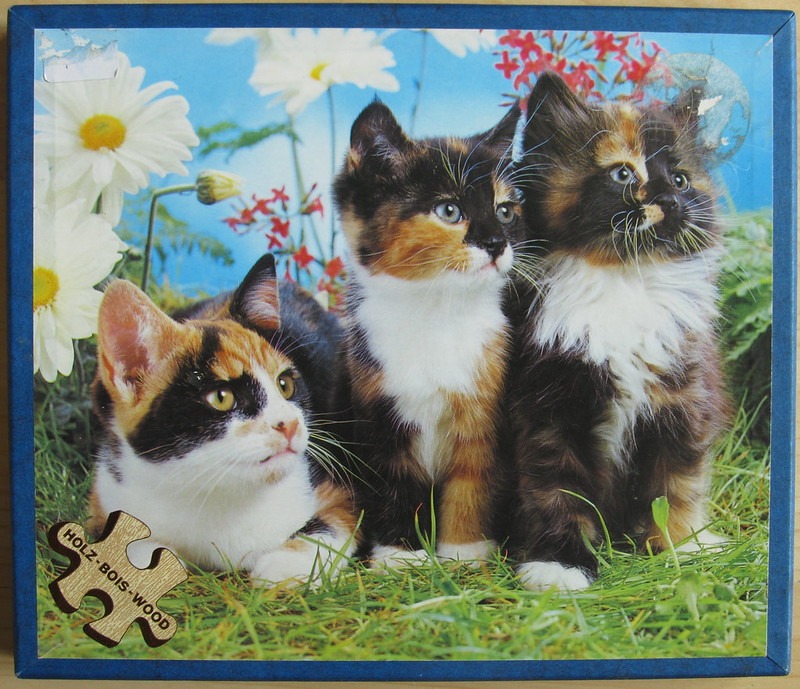 Three calico kittens sitting together in a grassy meadow with white daisies.