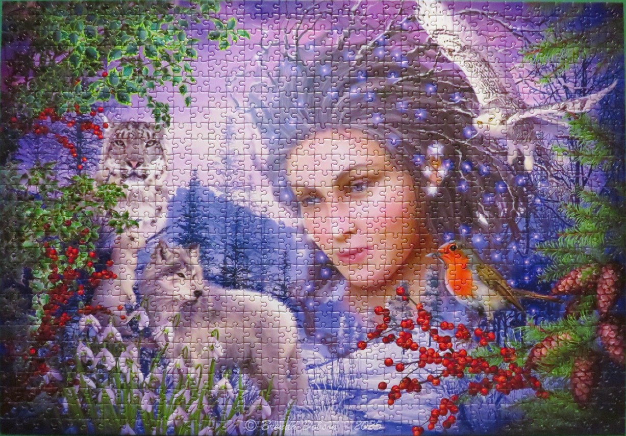 Fantasy art featuring a woman's face blending into a snowy forest scene with a snow leopard, wolf, owl, and robin.
