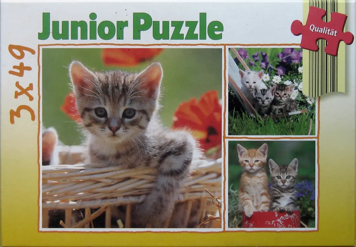 Three separate photographic scenes of kittens in garden settings.