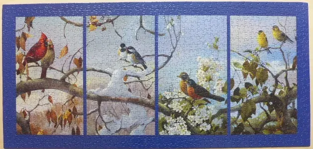A four-paneled illustration of songbirds in various seasonal settings surrounded by a dark blue border.