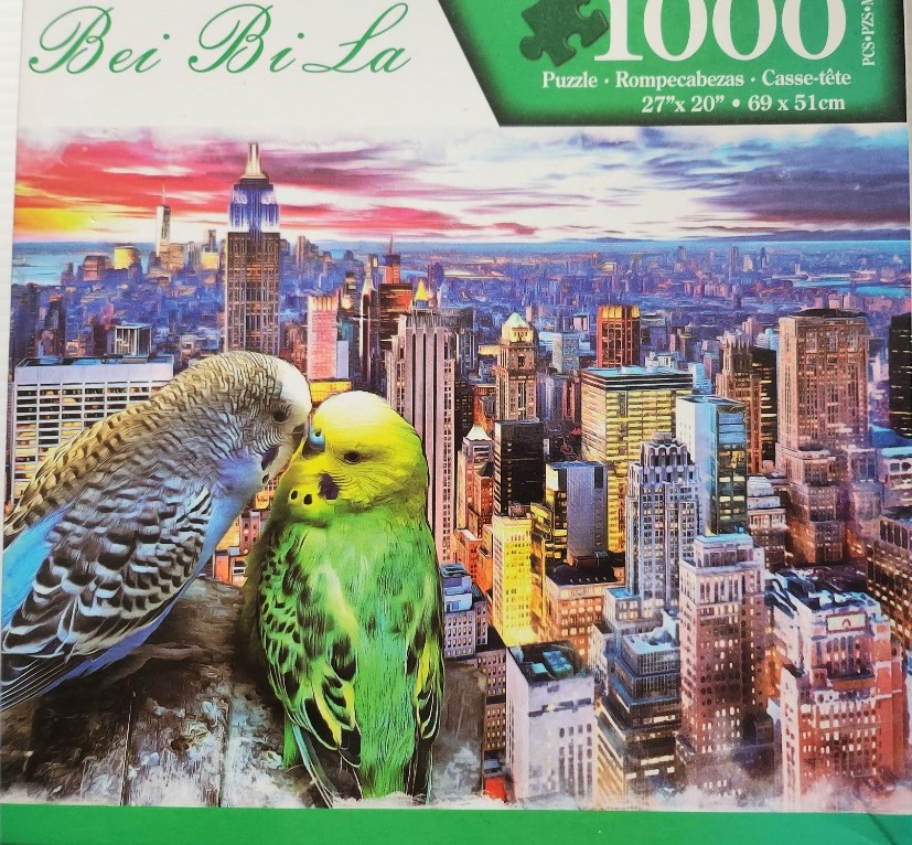 Two budgies perched on a ledge overlooking a New York City skyline at sunset.