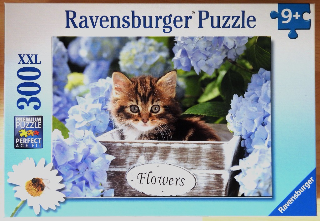 A fluffy tabby kitten sitting in a rustic wooden crate surrounded by bright blue hydrangea flowers.