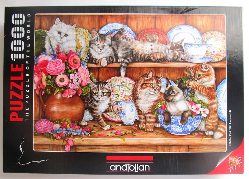 Six kittens resting on a wooden shelf among floral arrangements and decorative porcelain plates.