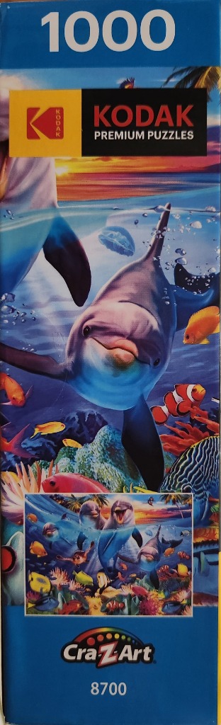 Playful Dolphin