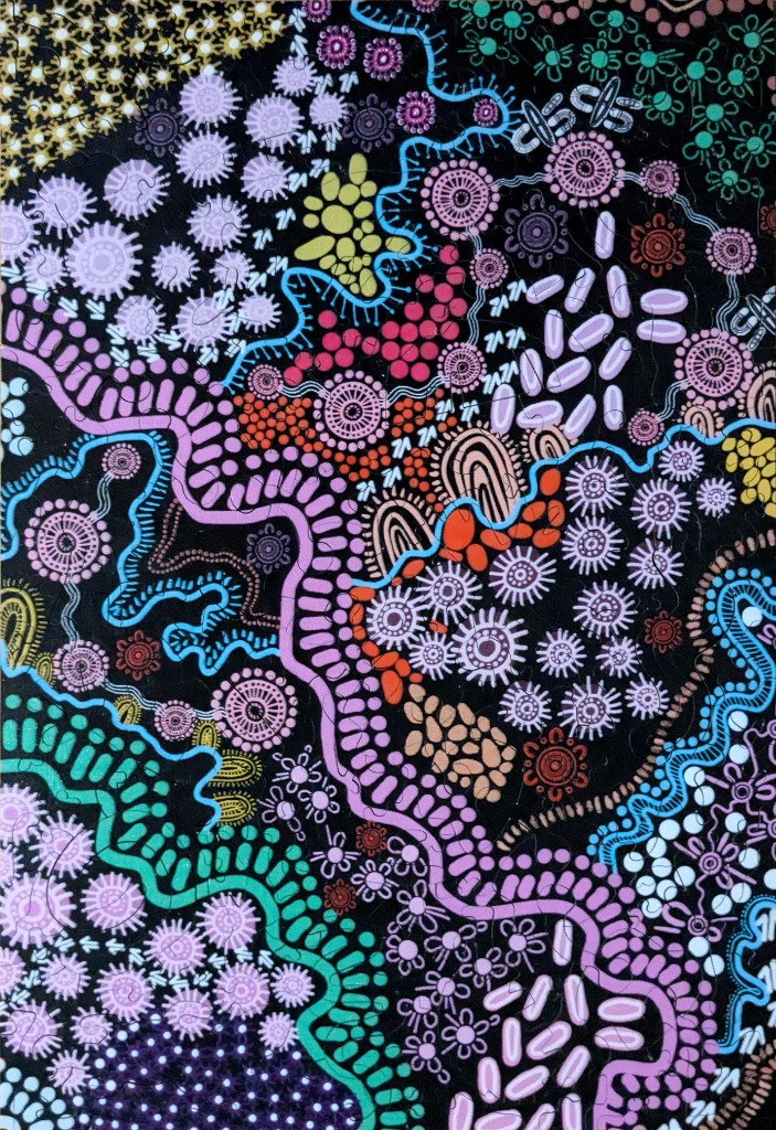 A vibrant Aboriginal-style dot painting featuring colourful concentric circles, wavy lines, and organic shapes on black.