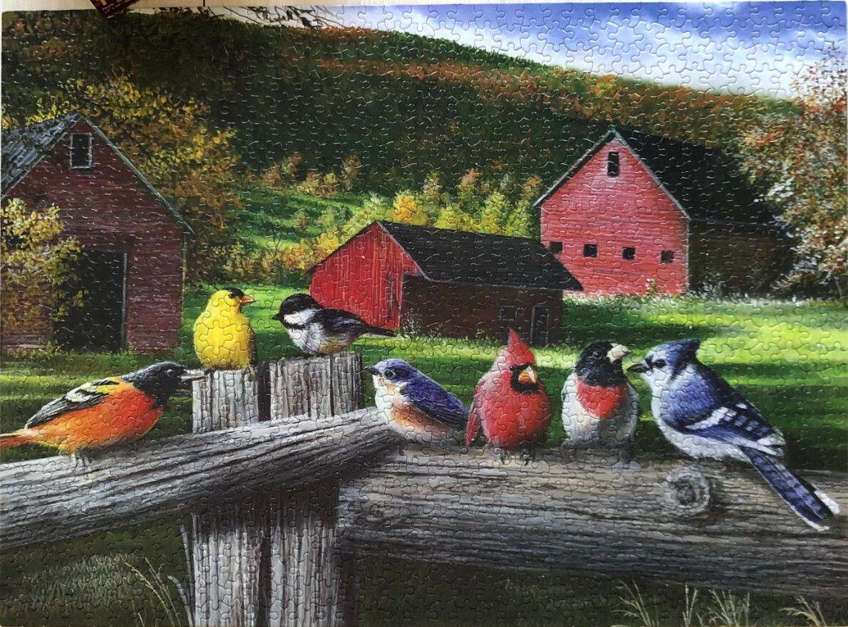 A row of colorful songbirds perched on a rustic wooden fence in front of red barns and a green hillside.