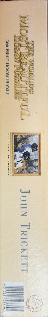 Pair of Liver and White Springers