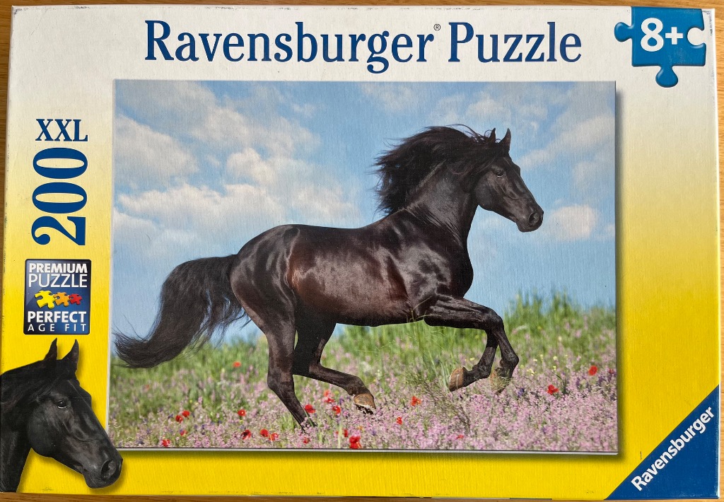 A majestic black horse running through a wildflower meadow under a blue sky.