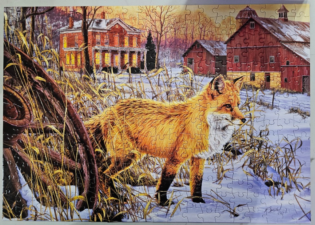 A red fox standing in a snowy field in front of a colonial house and a red barn at sunset.
