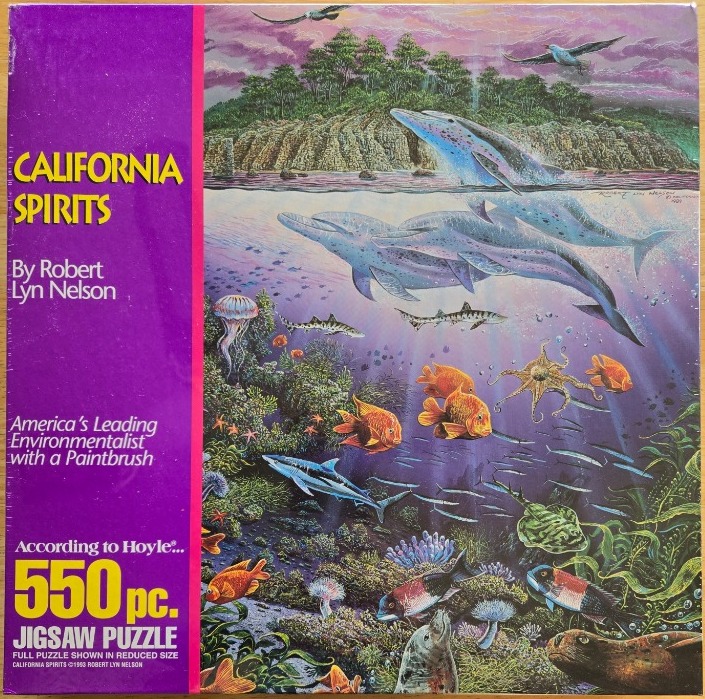 A split-level illustration showing dolphins jumping over a vibrant underwater coral reef scene.