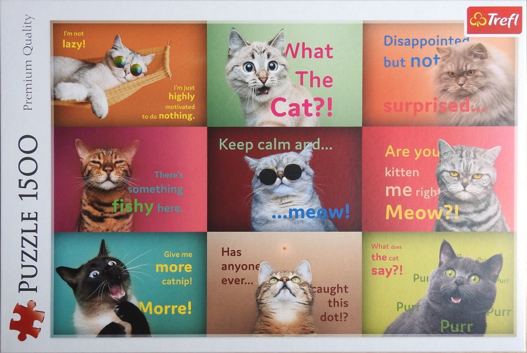 A grid of nine humorous cat portraits with funny captions in various colors and backgrounds.