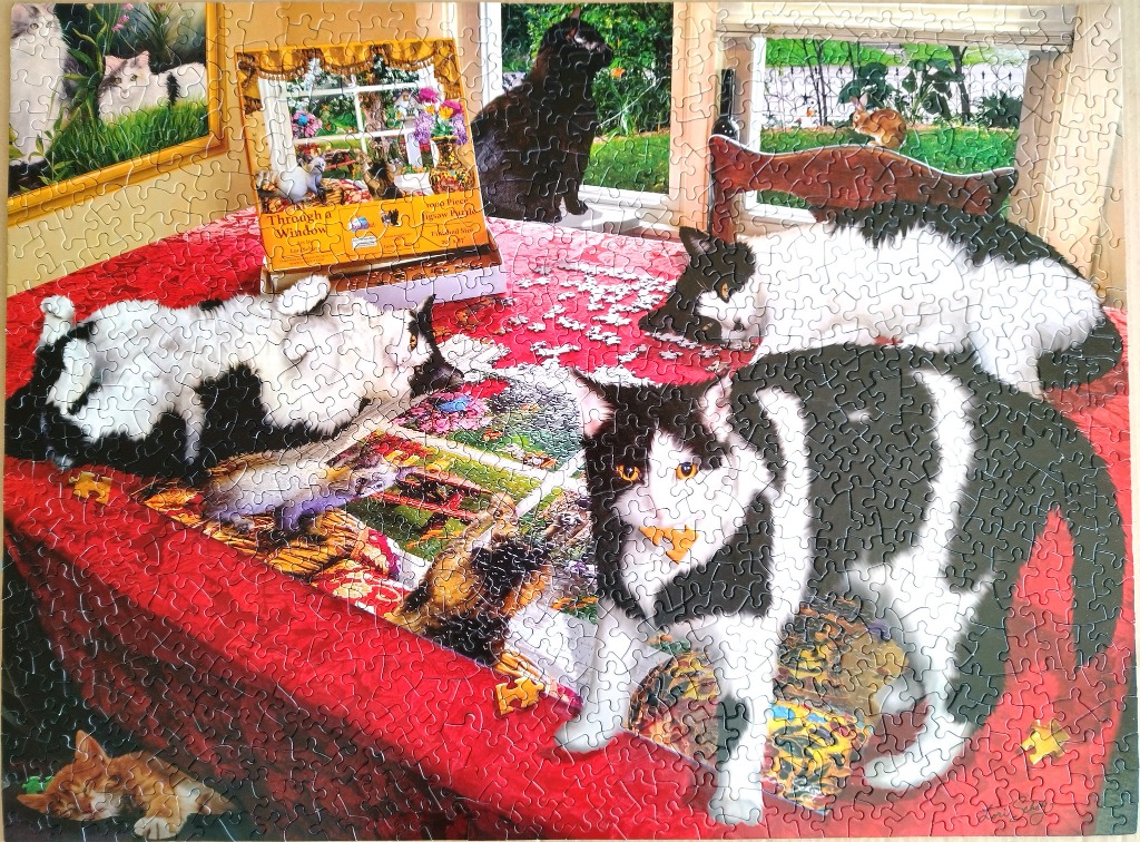 A cozy domestic scene featuring multiple cats on a red tablecloth with a window view and various cat-themed artwork.