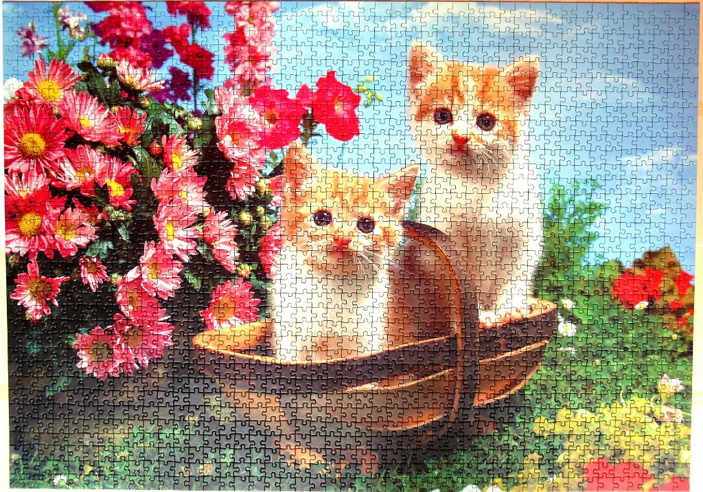 Two ginger tabby kittens sitting in a woven basket surrounded by vibrant pink flowers.