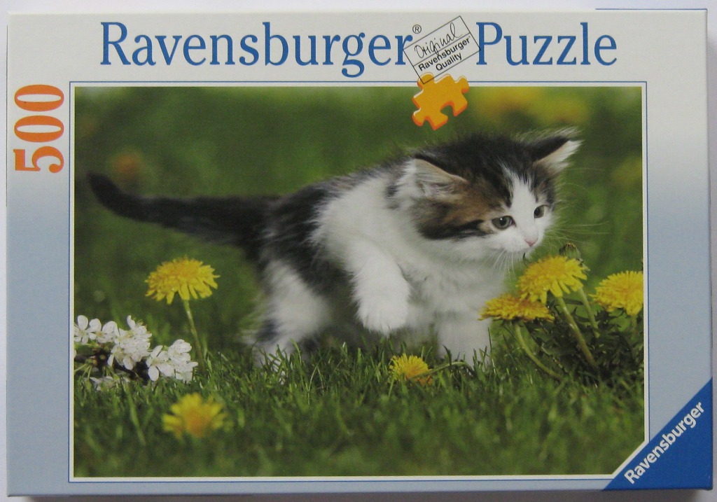 A fluffy kitten walking through a field of green grass and yellow dandelions.