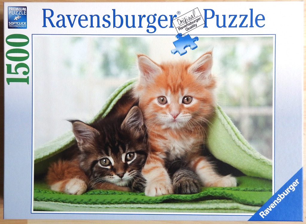Two fluffy Maine Coon kittens, one orange and one dark tabby, peeking out from under a bright green fleece blanket.