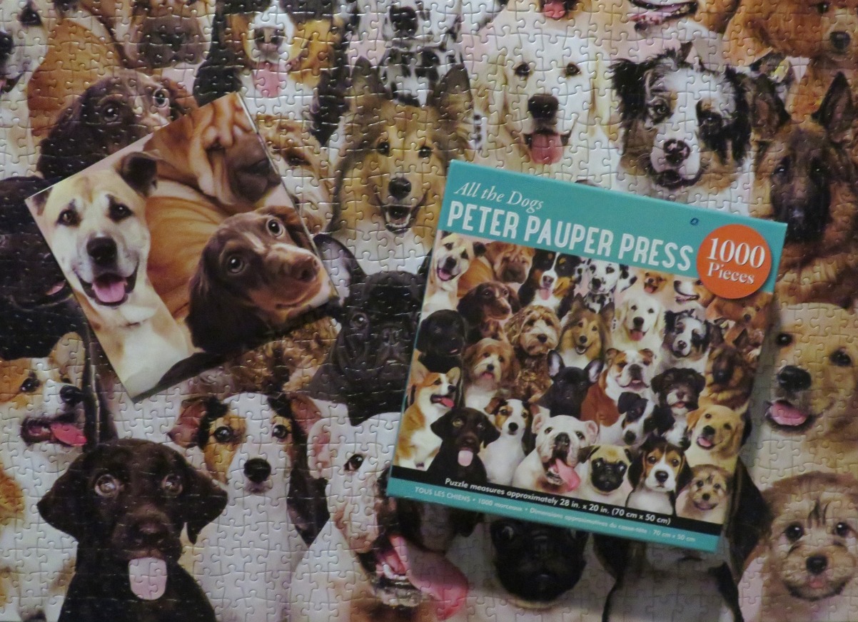All the Dogs