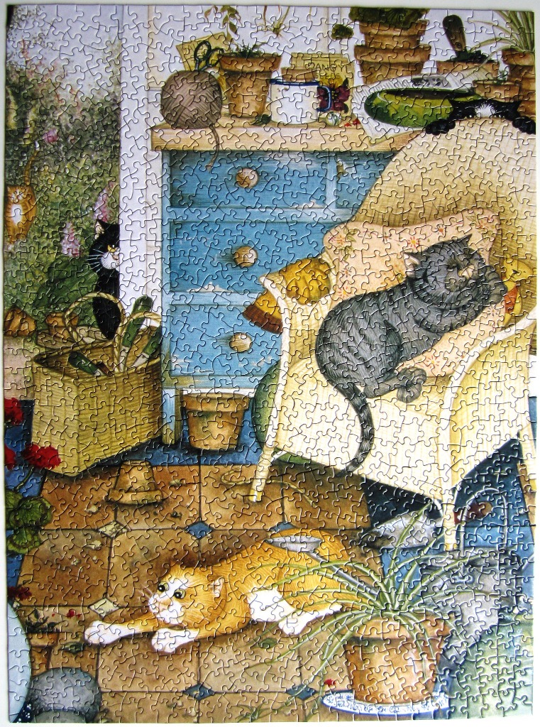 Cozy indoor scene featuring cats in a sunroom with potted plants, a blue cabinet, and a wicker chair.