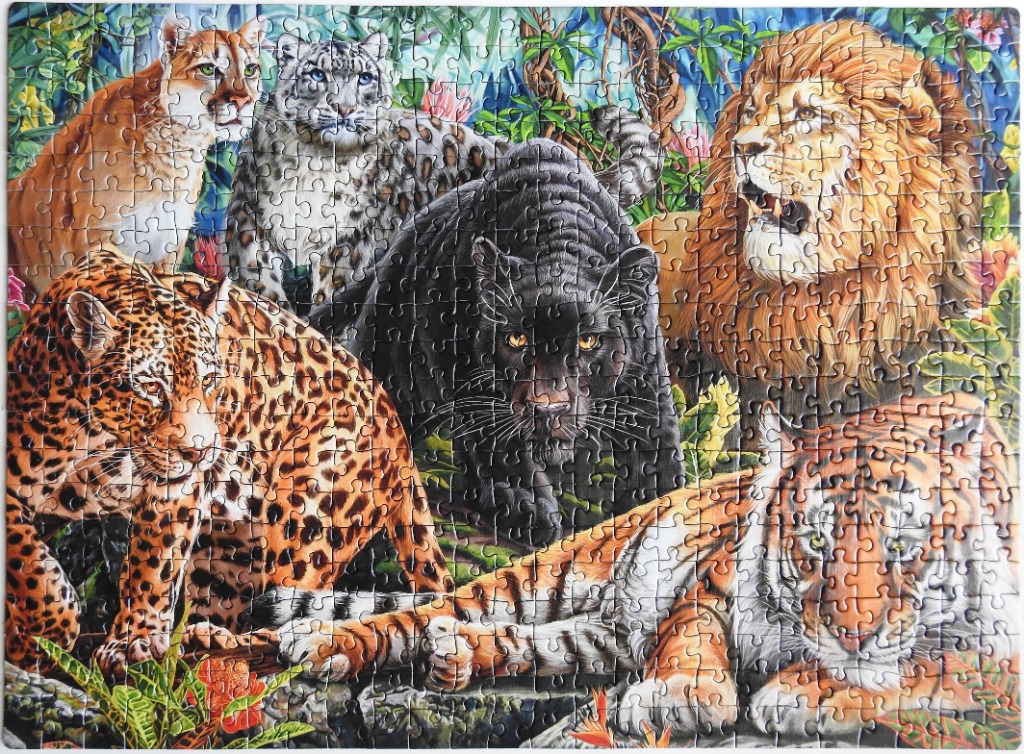 A gathering of various large wild cats including a lion, tiger, leopard, snow leopard, and black panther in a jungle.