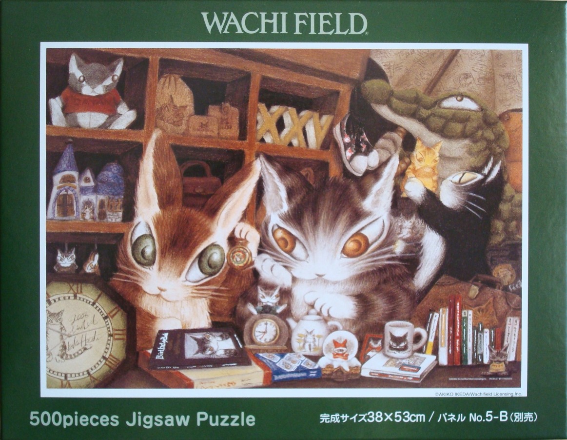 Illustration of a cat and rabbit character in a cozy, cluttered wooden room filled with trinkets and books.