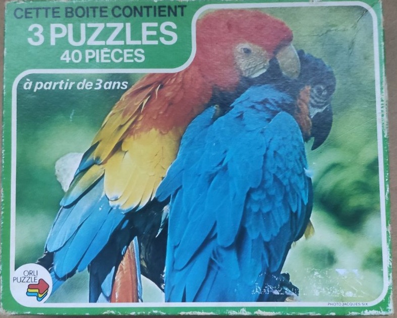 A pair of vibrant macaws, one red and yellow, the other blue, perched together.