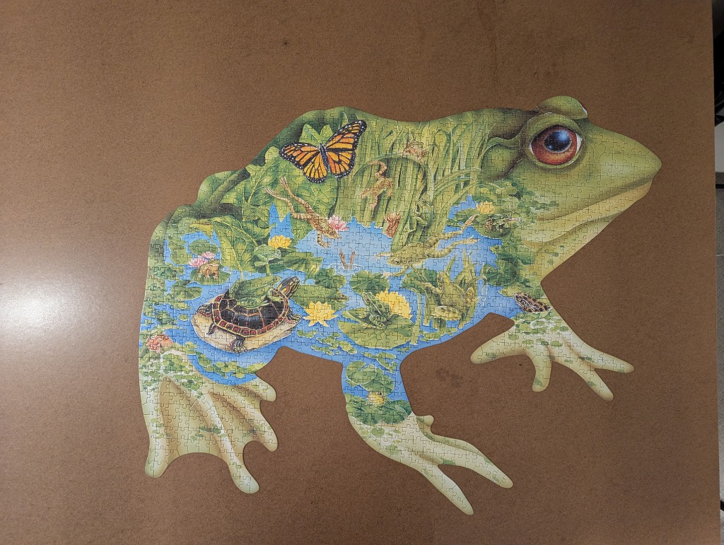 A whimsical shaped illustration of a frog whose body serves as a frame for a pond scene featuring a turtle and butterfly.