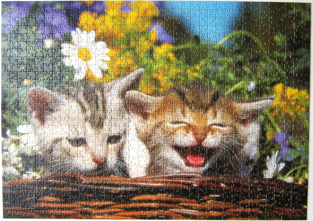 Two kittens sitting in a wicker basket against a vibrant floral background.