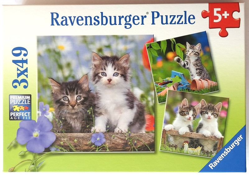 Three photographs of fluffy tabby kittens in a garden setting.
