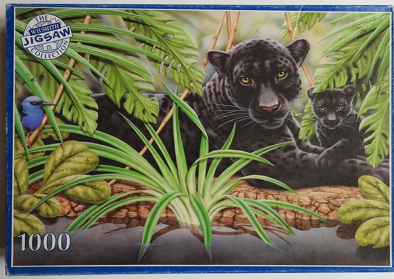 A black panther and its cub resting in a lush, green tropical jungle near a pool of water.