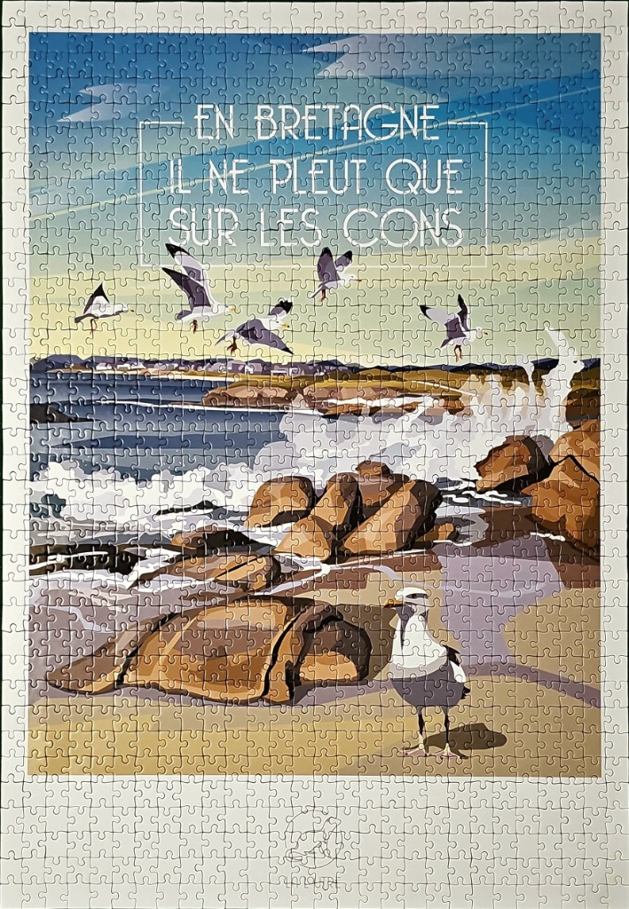 Artistic illustration of a seagull on a beach in Brittany, France with French text overlaid.