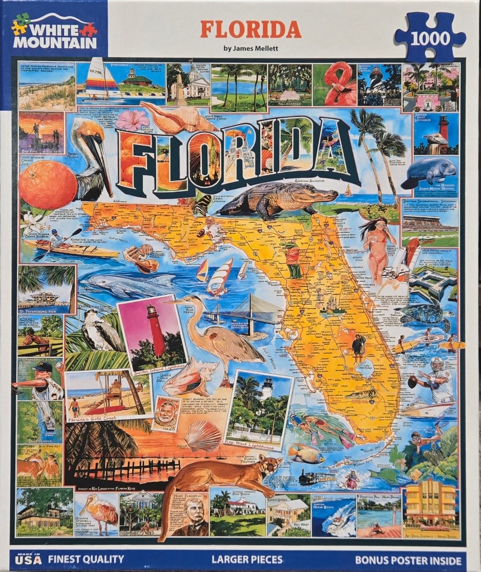 Illustrated pictorial map of Florida featuring native wildlife, landmarks, and travel scenes.