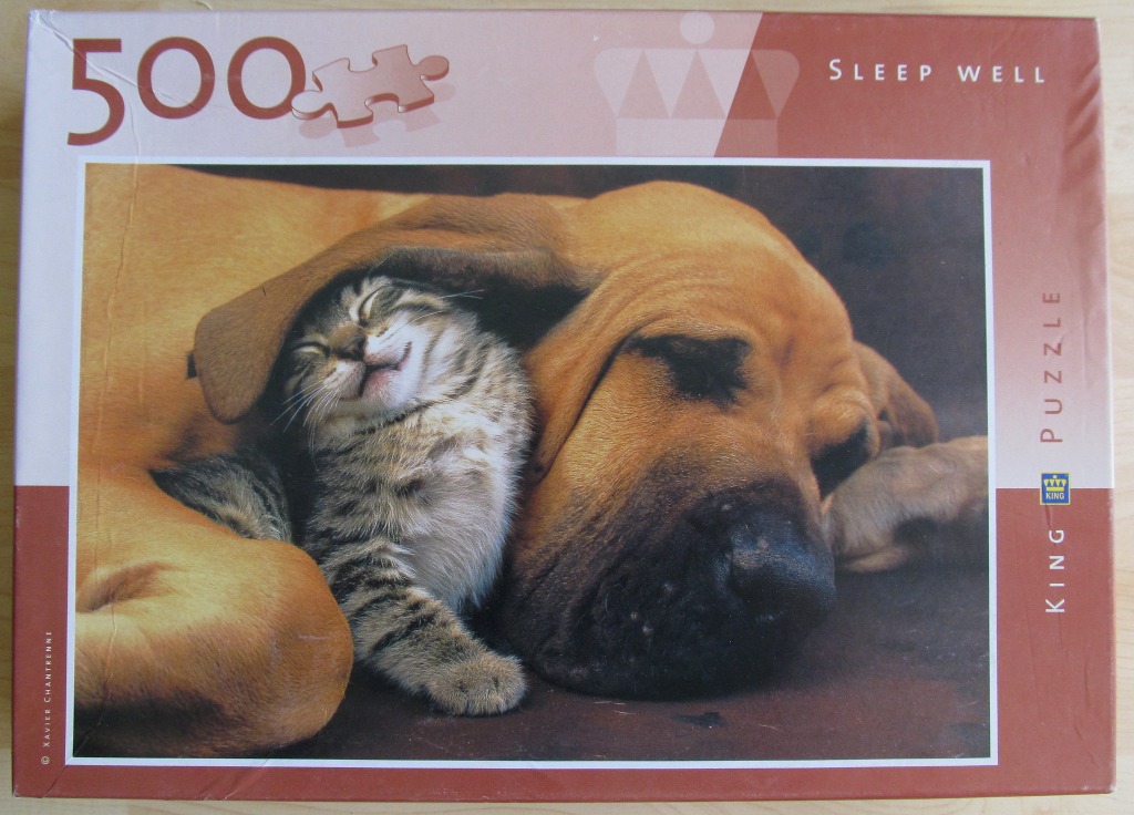 A close-up photograph of a large tan dog resting with a small tabby kitten sleeping under its ear.