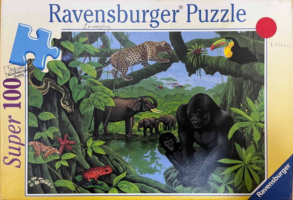 Illustration of diverse jungle animals including a leopard, gorilla, elephants, and a toucan in a lush rainforest.