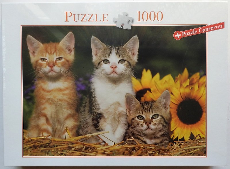Three kittens sitting in a patch of hay in front of sunflowers
