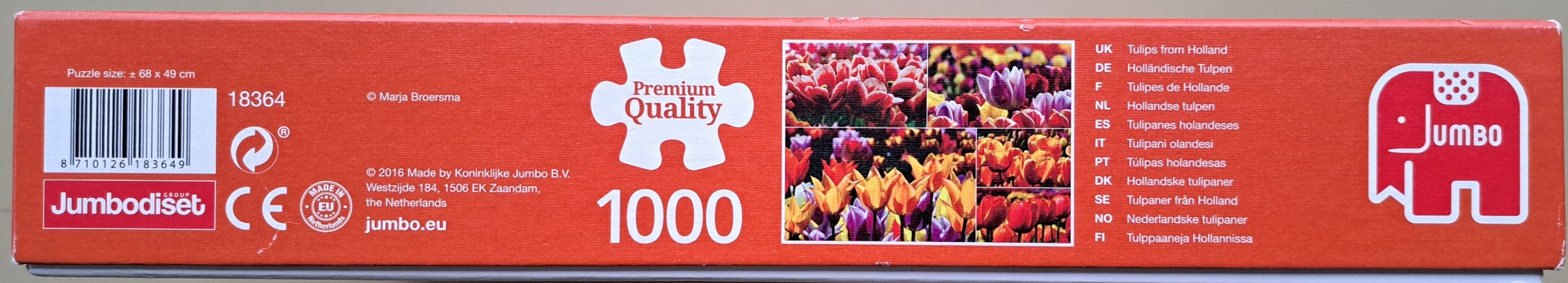 Tulips From Holland