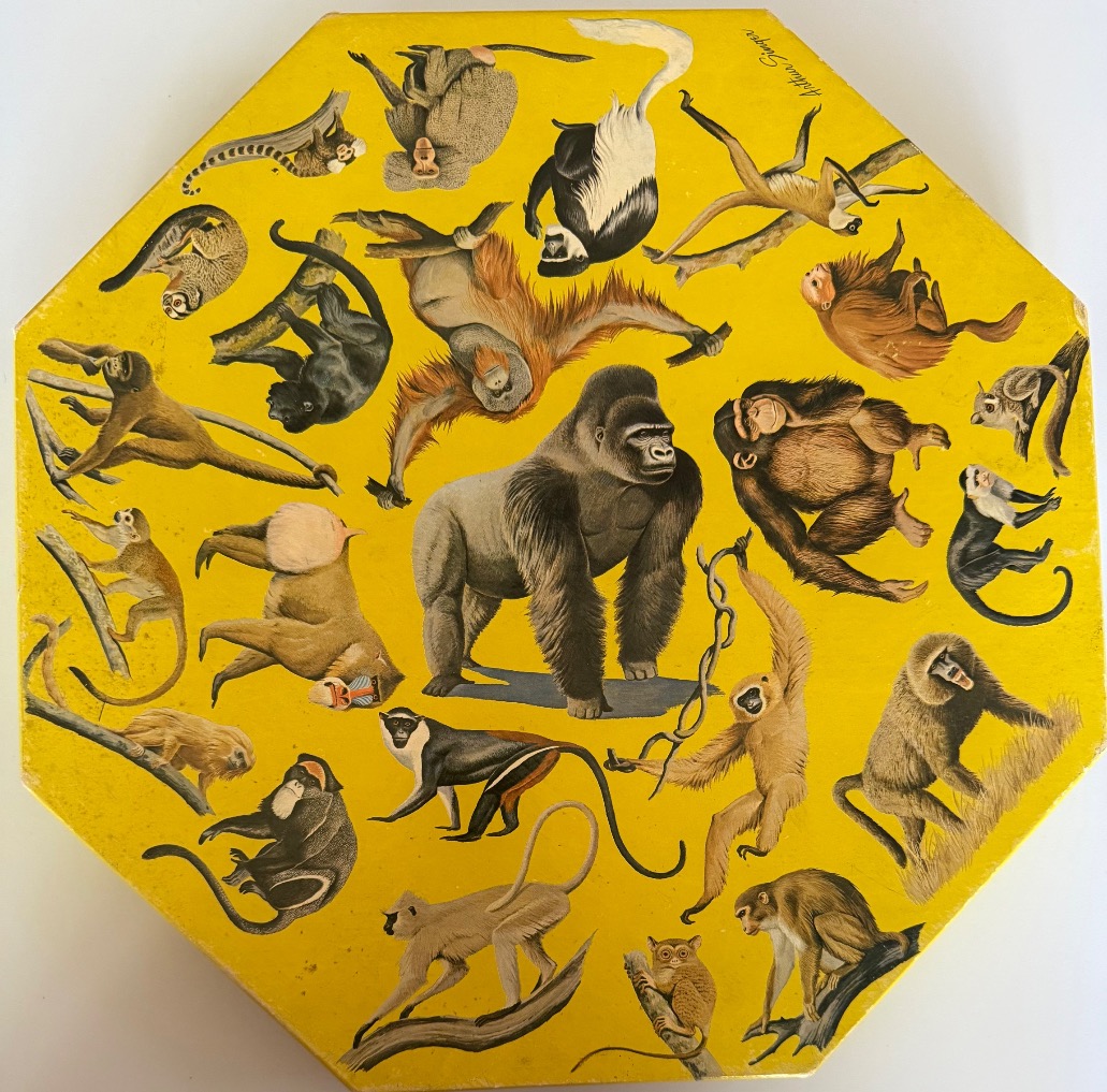 A collection of various monkeys and apes painted in a realistic style on a bright yellow background.