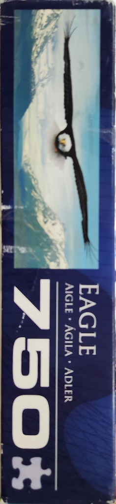 Eagle over Mountain