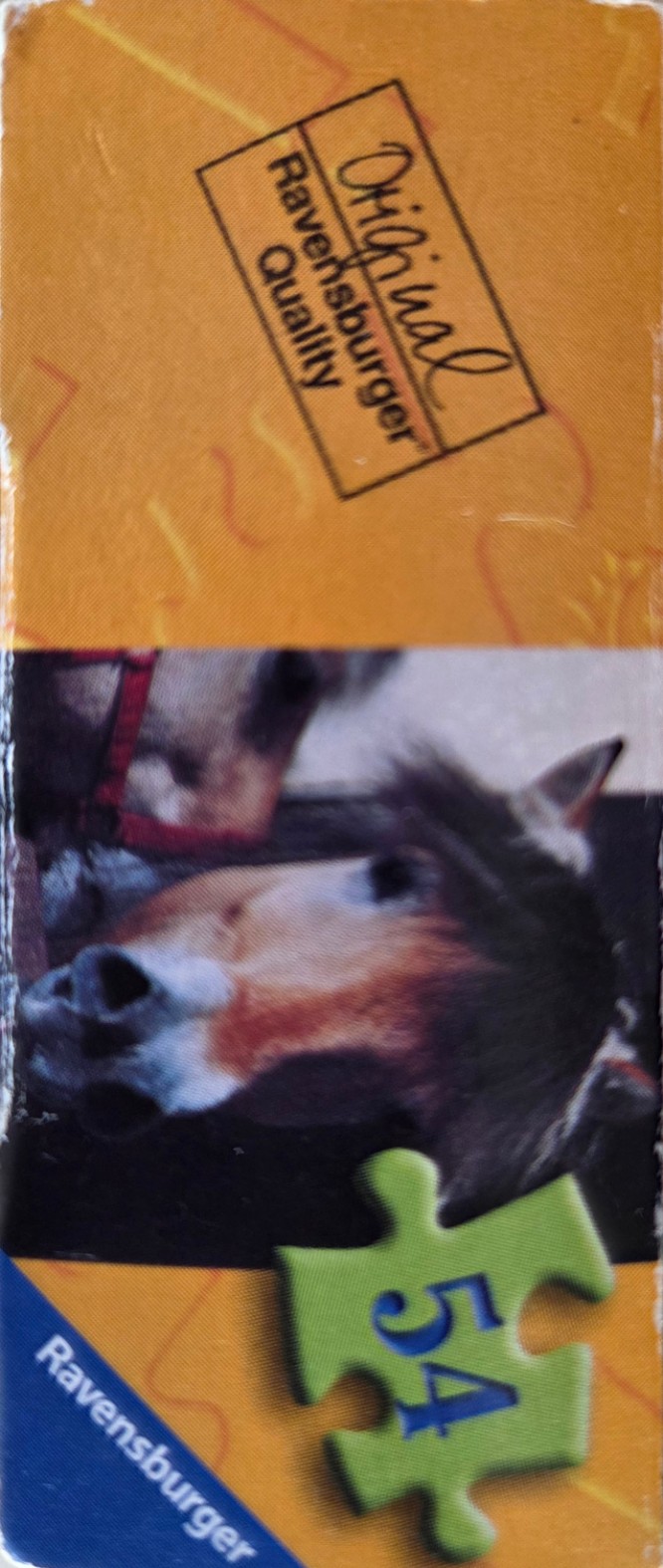 Norwegian Horse