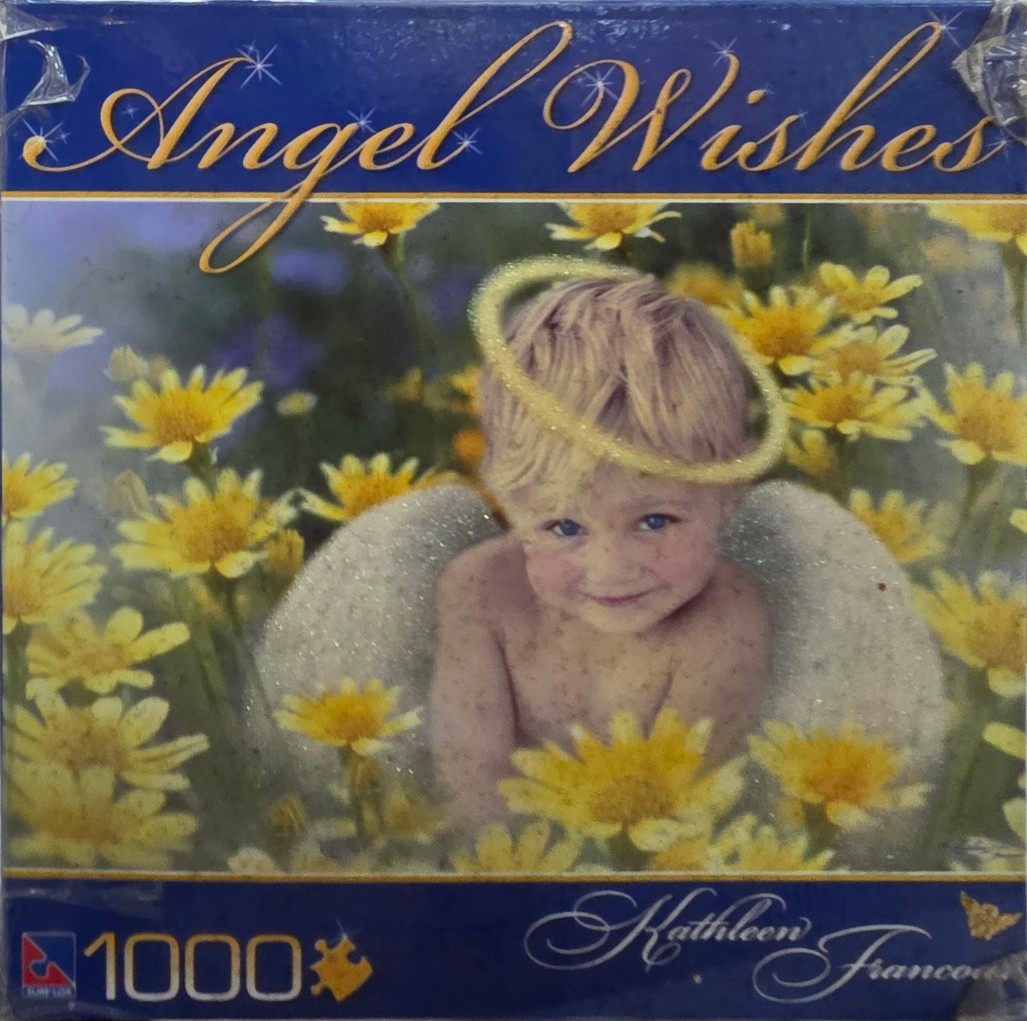 A cherubic child with angel wings and a halo sitting in a field of yellow daisies.