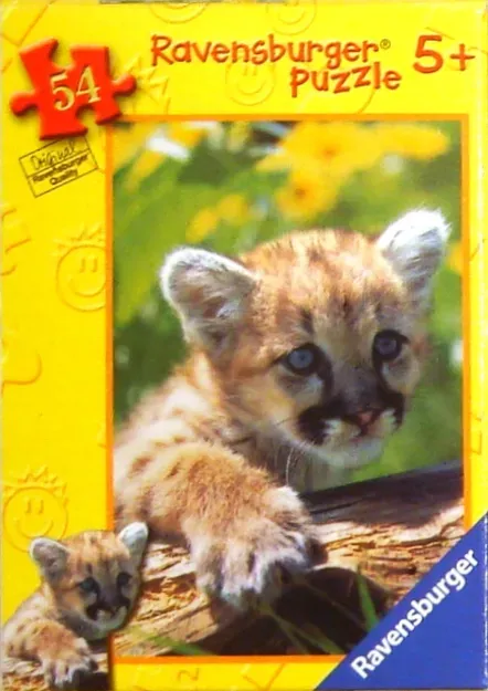 A close-up portrait of a young mountain lion cub resting on a log in a sunny, green setting.