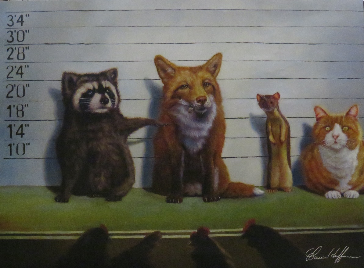 A lineup of a raccoon, a fox, a weasel, and a ginger cat standing before a police height chart.