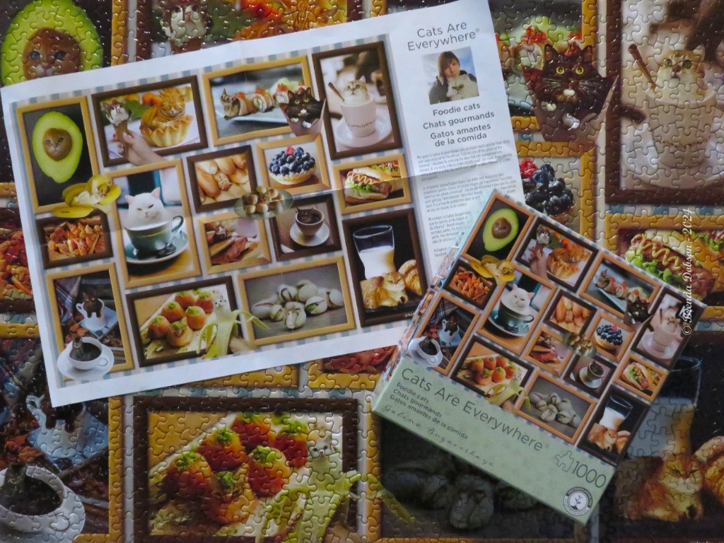 A collection of photographs featuring cats integrated into various food items and a partially completed puzzle.