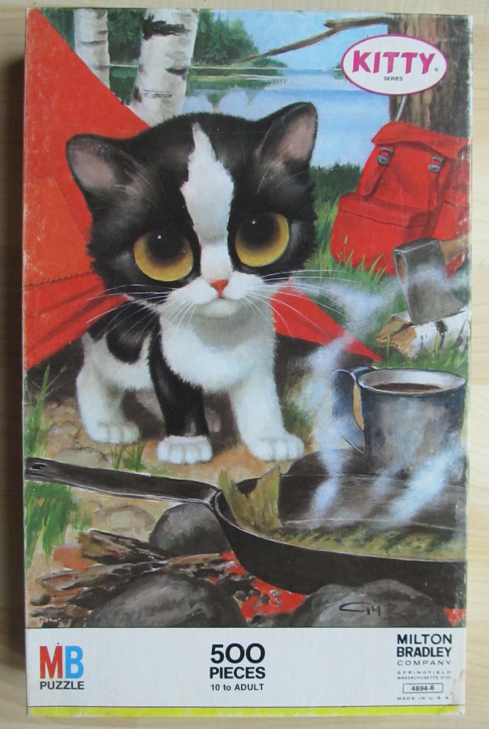 A black and white kitten with large eyes sits at a campsite with a frying pan and a red tent.
