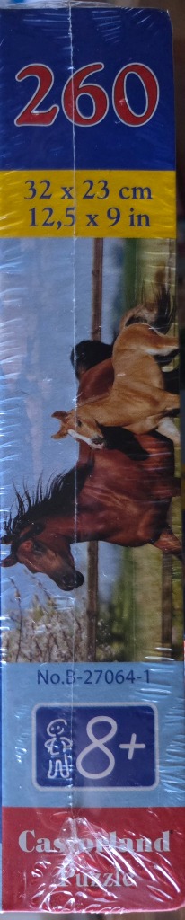 Mare and Foal