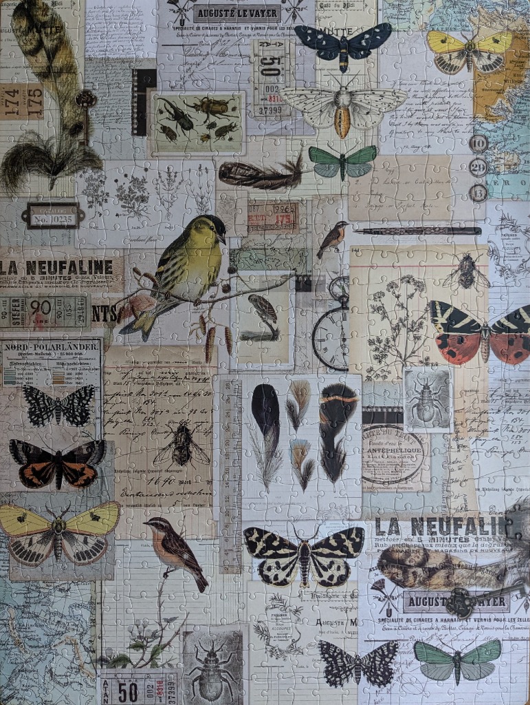 Vintage collage illustration featuring butterflies, birds, and historical ephemera.