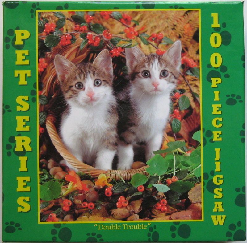 Two kittens sitting inside a wicker basket surrounded by autumn foliage and red berries.