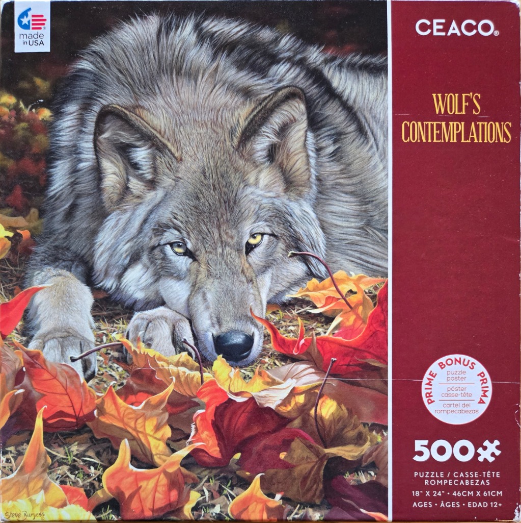 Close-up portrait of a grey wolf resting in a pile of vibrant autumn leaves.